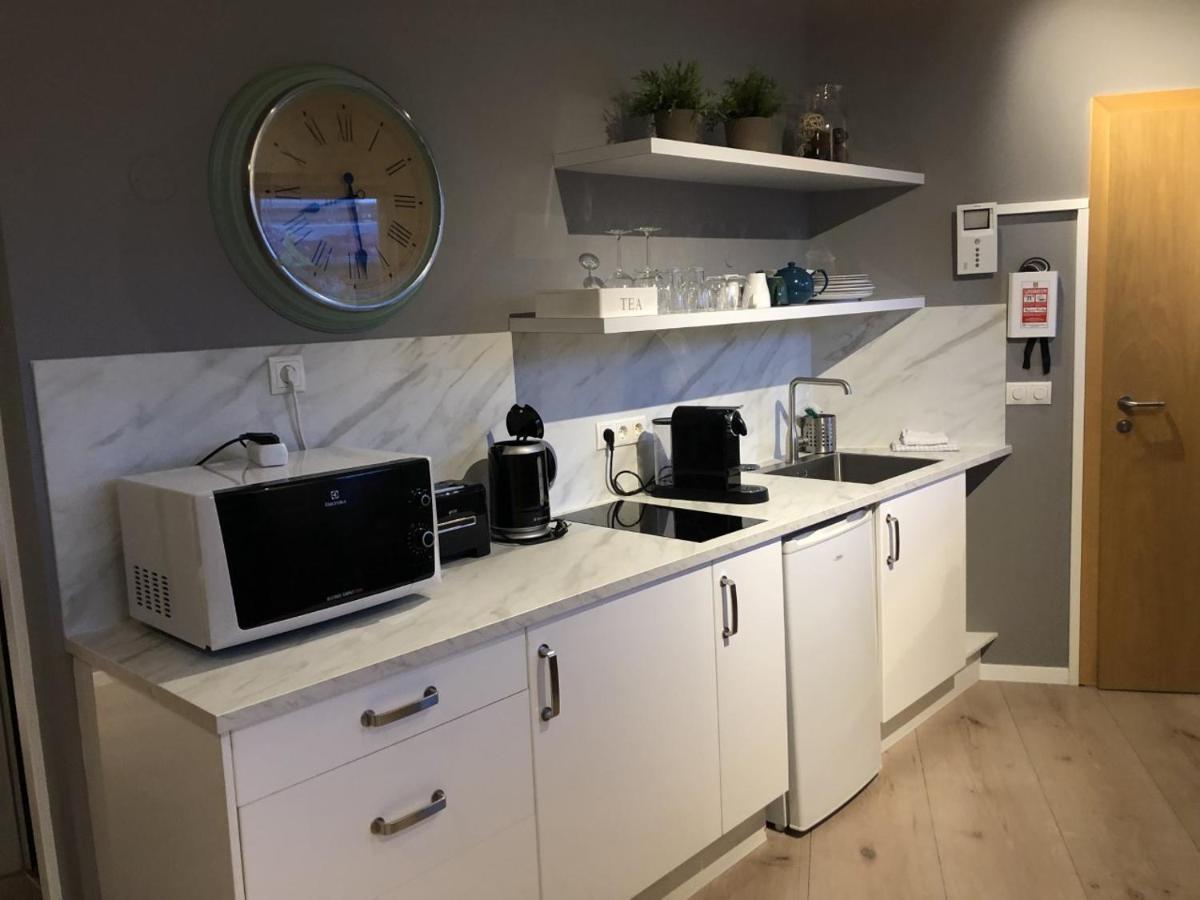 Skolo Lejlighed Reykjavík